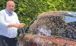Şehir merkezinde otomobili arılar sardı
