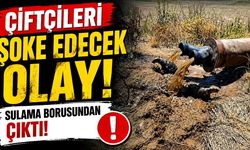 Çiftçiler Gözlerine İnanamadı: Sulama Hattından Çıktılar