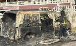 Park halindeki panelvan alevlere teslim oldu
