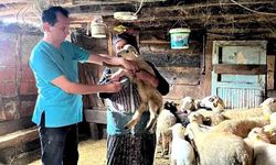 PPR Hastalığına Karşı Sahaya İndiler