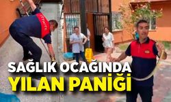 Sağlık ocağında yılan paniği