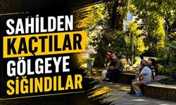 Sahilden kaçtılar gölgeye sığındılar