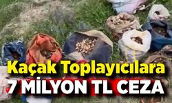 İzinsiz salep toplayan 10 kişiye 6 milyon 992 bin TL ceza