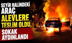 Seyir halindeki araç alevlere teslim oldu, sokak aydınlandı