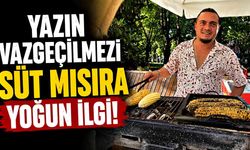 Yazın Vazgeçilmezi Süt Mısıra Yoğun İlgi!