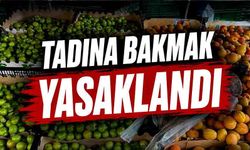 Tadına bakmak yasaklandı