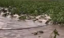 Kayseri’de tarım arazileri sular altında kaldı