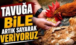 Tavuğa bile artık sayarak veriyoruz
