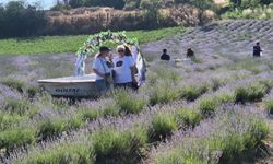 Tekirdağ'da Lavanta Şenliği başladı
