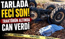 Traktörün altında kalan sürücü hayatını kaybetti