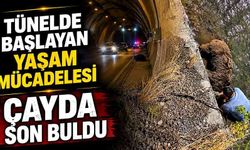 Tünelde başlayan yaşam mücadelesi çayda son buldu