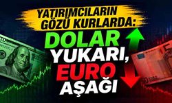 Yatırımcıların gözü kurlarda: Dolar sabit, Euro düşüşte