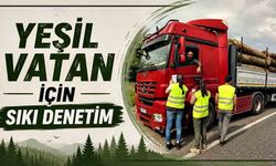 Yeşil vatan için sıkı denetim