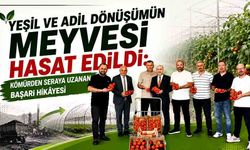Yeşil ve adil dönüşümün meyvesi hasat edildi: Kömürden seraya uzanan başarı hikâyesi