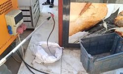 Yerleşim yerinde yılan paniği! Yılan itfaiye ekiplerince yakalandı