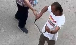 Paniğe sebep olan yılanı eliyle yakaladı