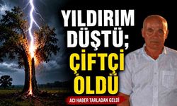 Sığındığı ağaca yıldırım düştü; Çiftçi öldü