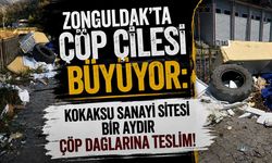 Zonguldak’ta çöp çilesi büyüyor: Kokaksu Sanayi Sitesi bir aydır çöp dağlarına teslim!