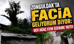Zonguldak’ta facia geliyorum diyor: Dev ağaç evin üzerine yattı!