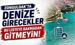 Zonguldak sahillerinin karnesi belli oldu: Hangi plaj temiz, hangisi riskli?