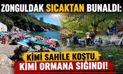 Zonguldak sıcaktan bunaldı: Kimi sahile koştu, kimi ormana sığındı!