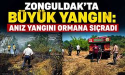 Zonguldak'ta büyük yangın: Anız yangını ormana sıçradı