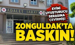 Zonguldak'ta kenevir yetiştirmek için iklimlendirme sistemi kurmuş