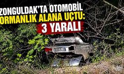 Zonguldak’ta otomobil ormanlık alana uçtu: 3 yaralı