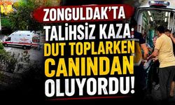 Zonguldak'ta talihsiz kaza: Dut toplarken canından oluyordu!