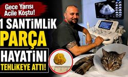 Gece Yarısı Acile Koştu! 1 Santimlik Parça Hayatını Tehlikeye Attı