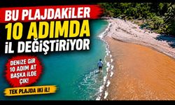 Bu plajdakiler 10 adımda il değiştiriyor