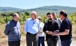 2026 yılı için 400 milyon lira bütçe asfalta ayrıldı