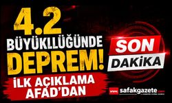 4.2 Büyüklüğünde Deprem! İlk Açıklama AFAD'dan