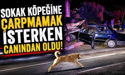 Sokak Köpeğine Çarpmamak İsterken Canından Oldu!