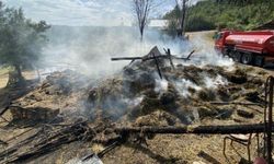 Kastamonu'da alevlere teslim olan samanlık ve balyalar küle döndü