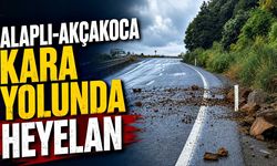 Alaplı-Akçakoca kara yolunda heyelan