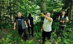 Düzce’de doğal gençleşme