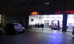 Akrabalar arasında "dut ağacı" kavgası: 1'i çocuk 3 yaralı