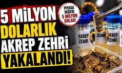 5 milyon dolarlık akrep zehri Yalova'da yakalandı