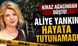 Kiraz Ağacından Düşen Aliye Yankın hayatını kaybetti