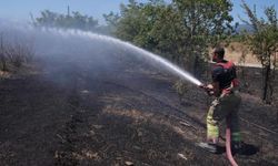 İtfaiye 3 ayda 300 anız yangınına müdahale etti