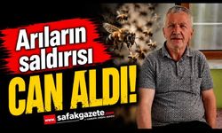 Bal arıları can aldı! Yaşlı adam kurtarılamadı