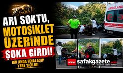 Seyir Halindeyken Arı Soktu! Motosiklet Sürücüsü Şoka Girdi