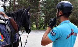 Atlı jandarma timleri, devriye faaliyetlerine başladı