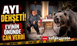 Ayı dehşeti! Evinin Önündeki Kanepede Son Uykusu Oldu