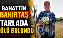 Bahattin Bakırtaş tarlada ölü bulundu