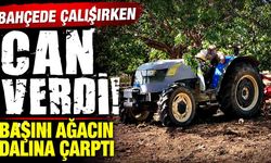 Traktör Üzerinde Korkunç Son! Bir Dal Hayatına Mal Oldu