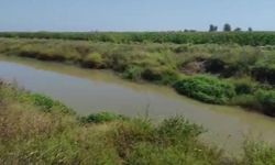 Balık tutarken nehre düşen kişi kayboldu
