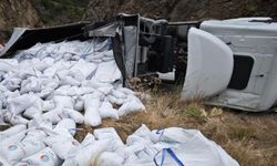 Balık yemi yüklü tır devrildi: Sürücü yaralandı