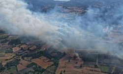 Balıkesir'de üç ayrı noktada yangın
